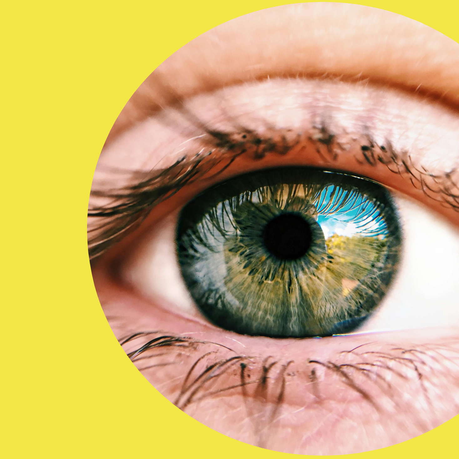 creatividad semicircular de color amarillo en la que destaca una imagen relacionada con el Premio Comunicación Aumentativa y Acceso Ocular