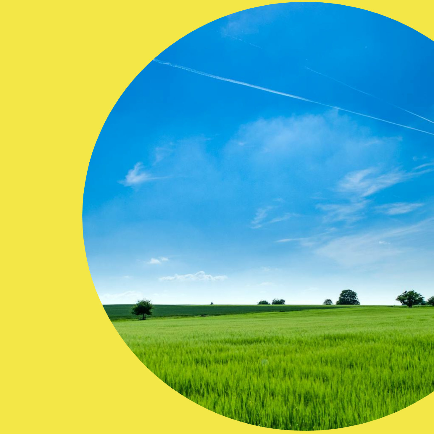 creatividad semicircular de color amarillo en la que destaca una imagen relacionada con el Premio Conectividad Rural Asequible